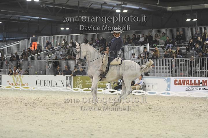 www.davidemombelli.com