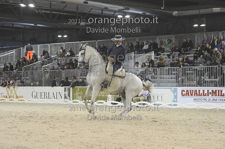 www.davidemombelli.com