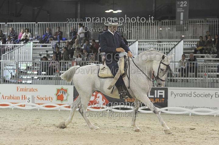 www.davidemombelli.com