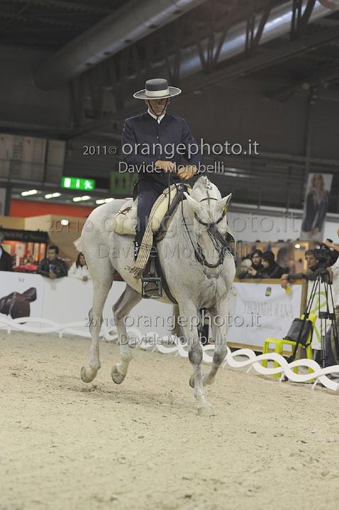 www.davidemombelli.com