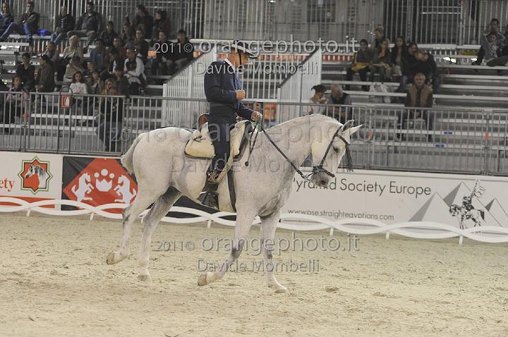 www.davidemombelli.com