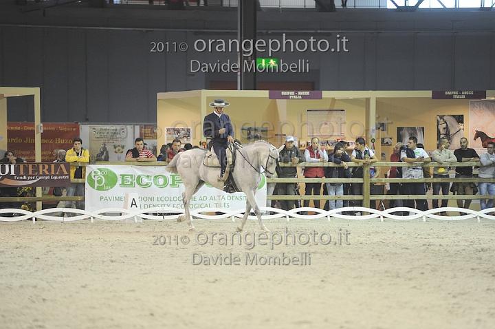 www.davidemombelli.com