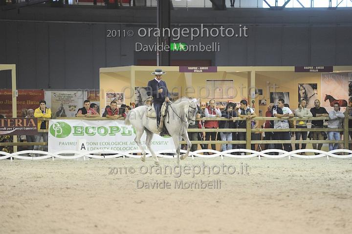 www.davidemombelli.com