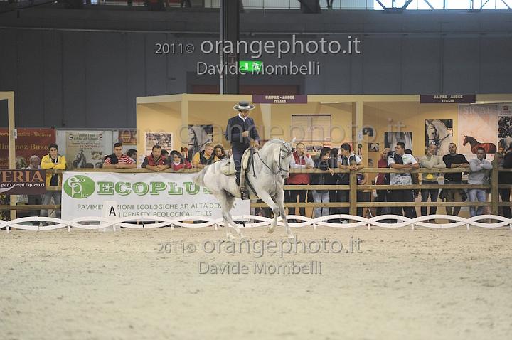 www.davidemombelli.com