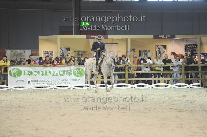 www.davidemombelli.com