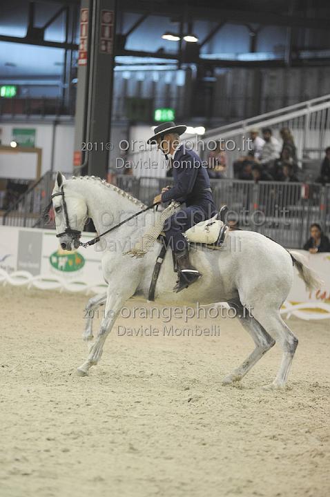 www.davidemombelli.com