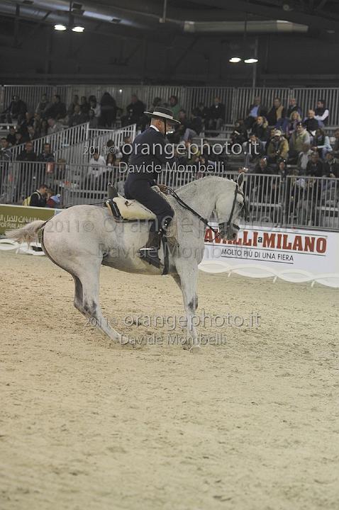 www.davidemombelli.com