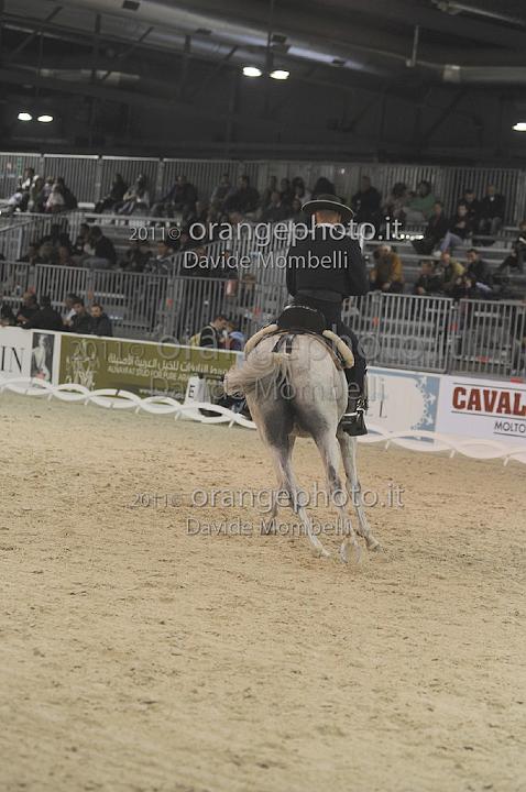 www.davidemombelli.com