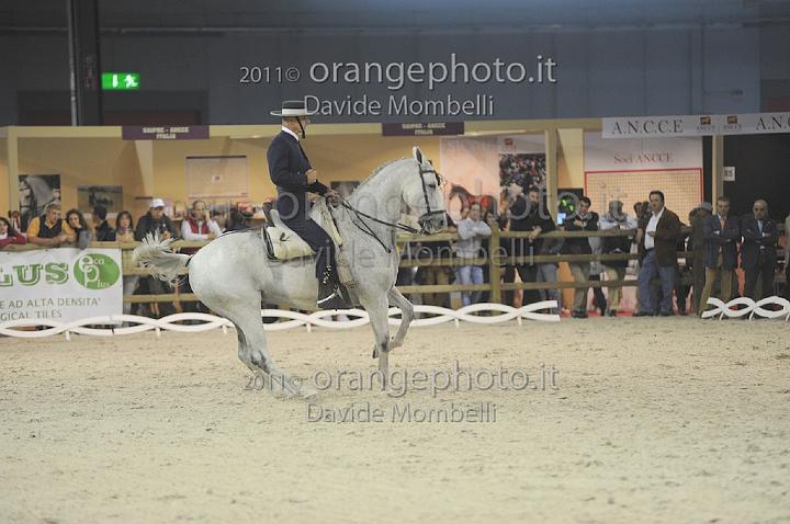www.davidemombelli.com