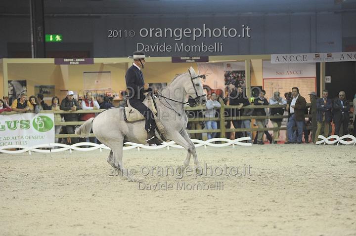 www.davidemombelli.com