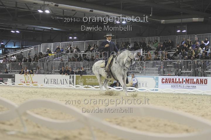 www.davidemombelli.com