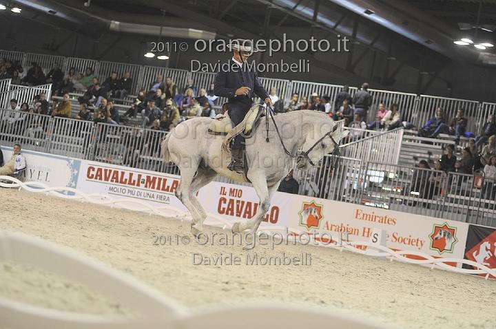 www.davidemombelli.com