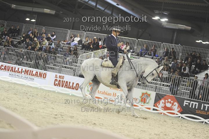www.davidemombelli.com