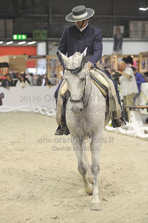 www.davidemombelli.com