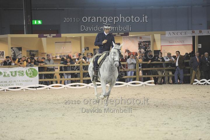 www.davidemombelli.com