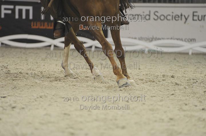 www.davidemombelli.com