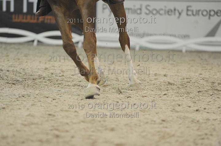 www.davidemombelli.com