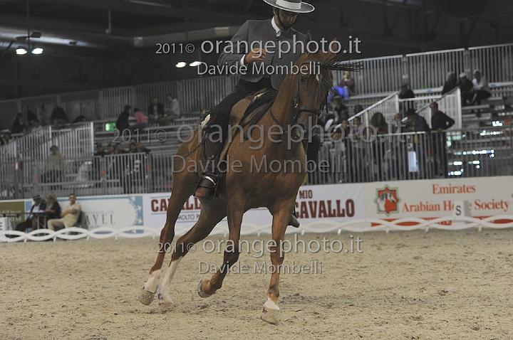 www.davidemombelli.com