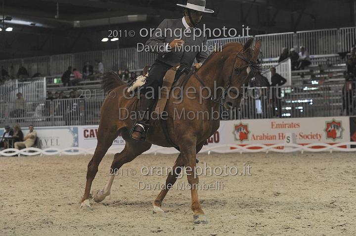 www.davidemombelli.com