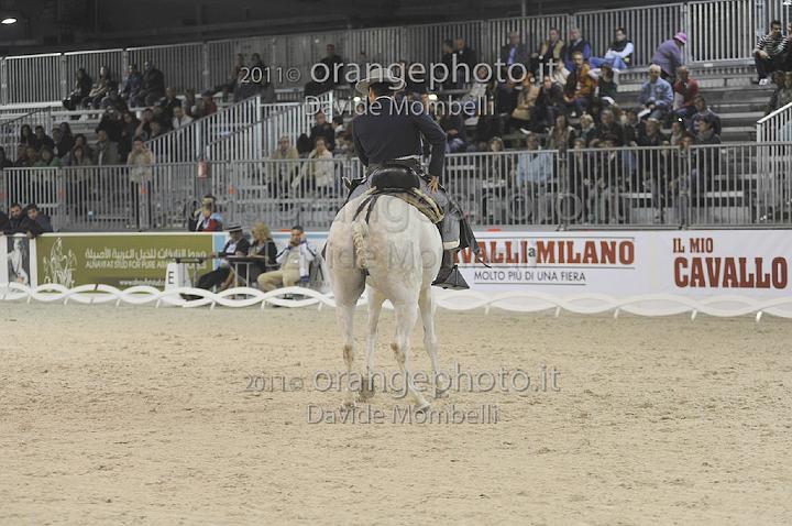 www.davidemombelli.com
