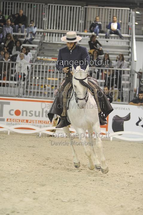 www.davidemombelli.com