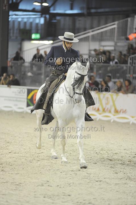 www.davidemombelli.com