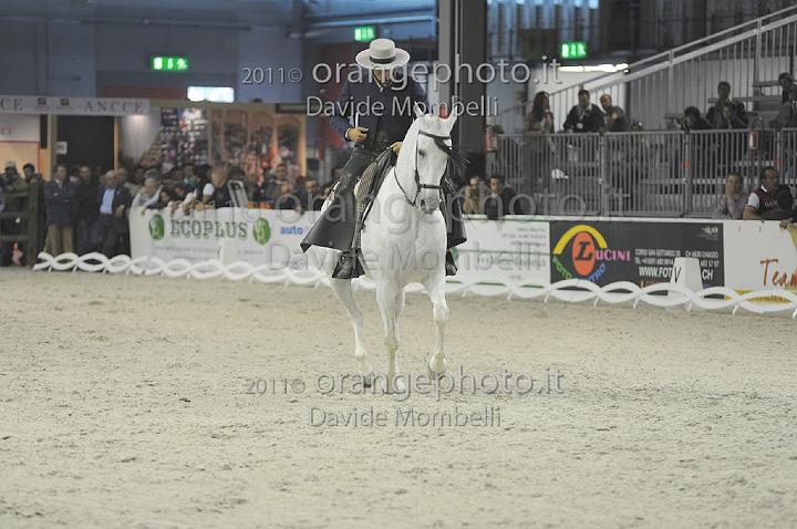 www.davidemombelli.com