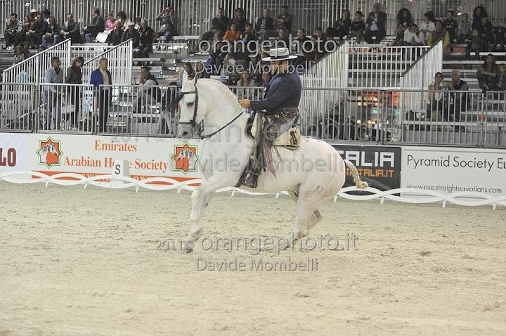 www.davidemombelli.com