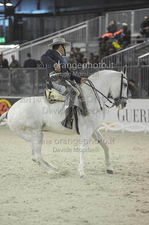 www.davidemombelli.com
