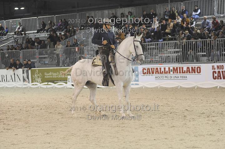 www.davidemombelli.com