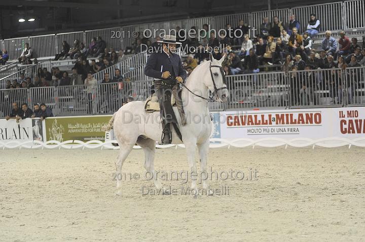 www.davidemombelli.com