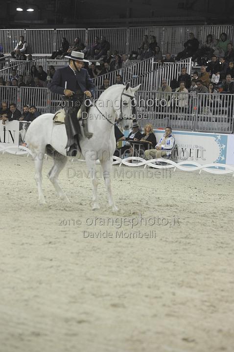 www.davidemombelli.com