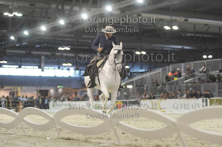 www.davidemombelli.com
