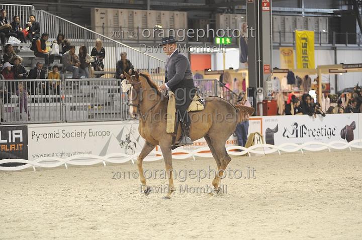 www.davidemombelli.com