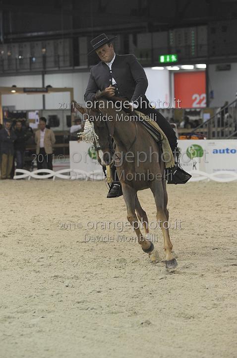 www.davidemombelli.com