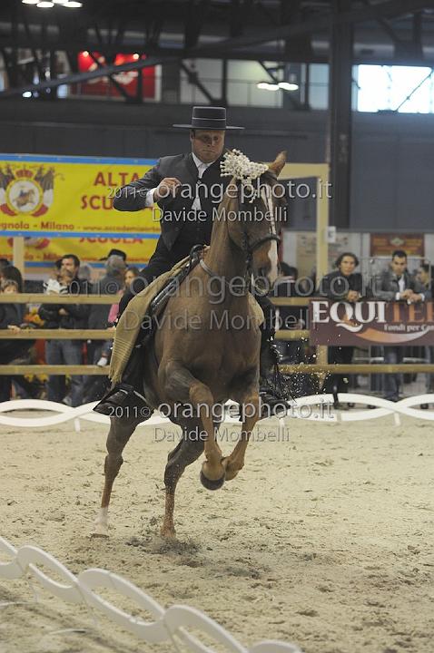 www.davidemombelli.com