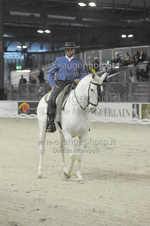 www.davidemombelli.com