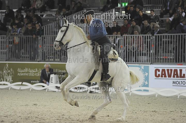 www.davidemombelli.com