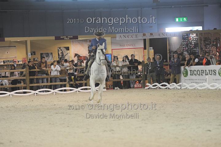 www.davidemombelli.com