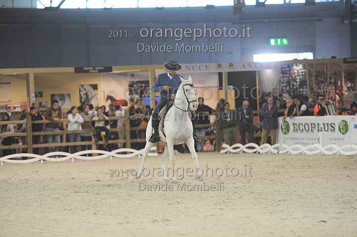 www.davidemombelli.com