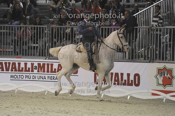 www.davidemombelli.com