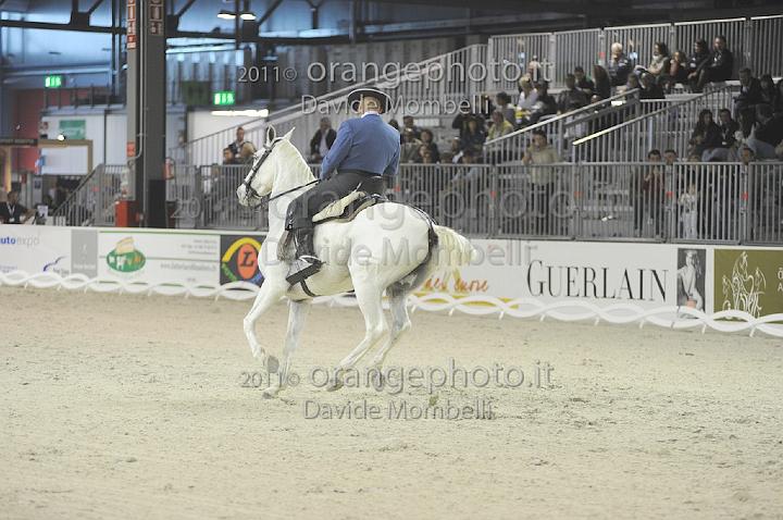 www.davidemombelli.com