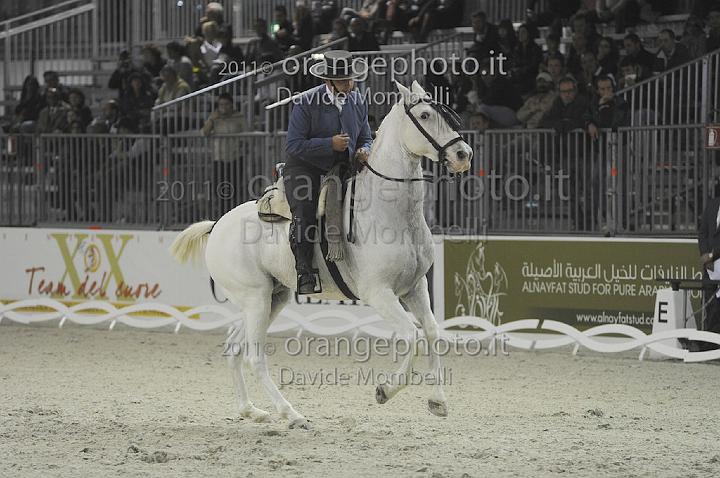 www.davidemombelli.com