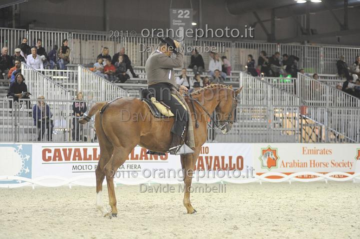 www.davidemombelli.com