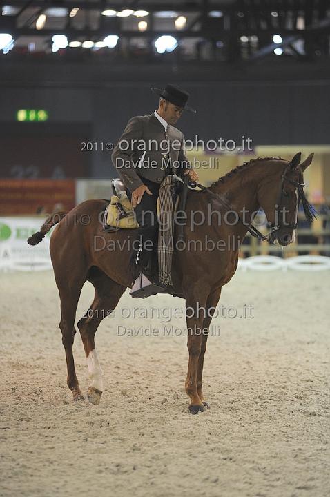www.davidemombelli.com