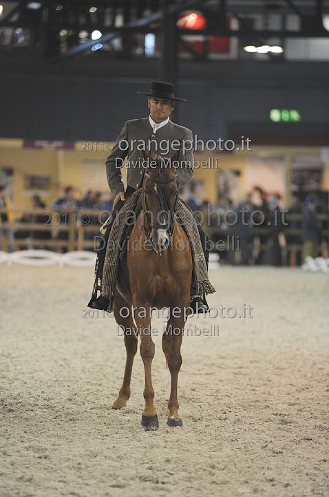 www.davidemombelli.com