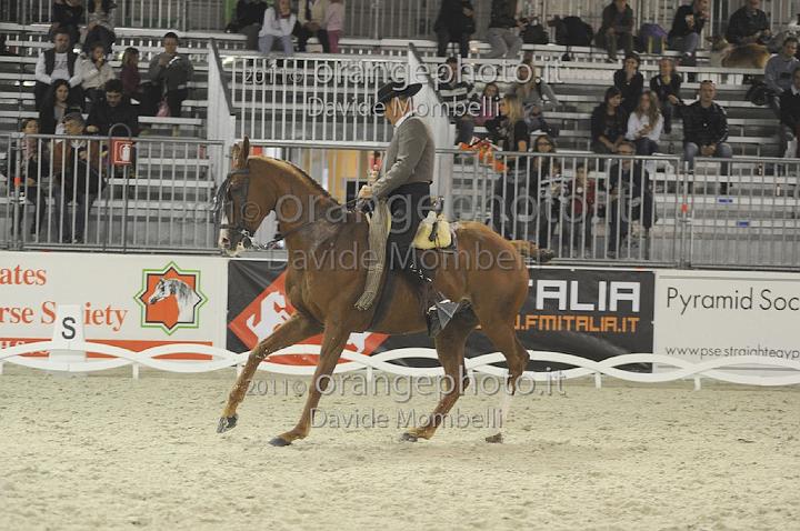 www.davidemombelli.com