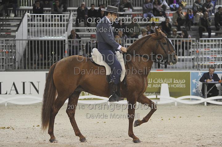 www.davidemombelli.com