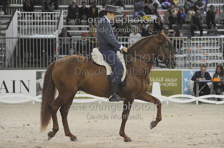 www.davidemombelli.com