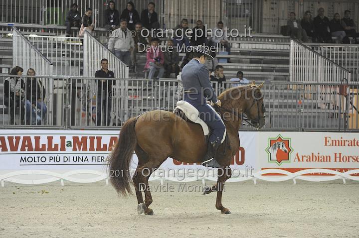 www.davidemombelli.com